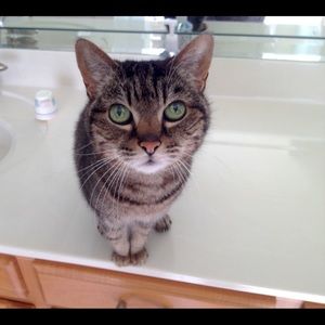 Meet your Posher, Leslie